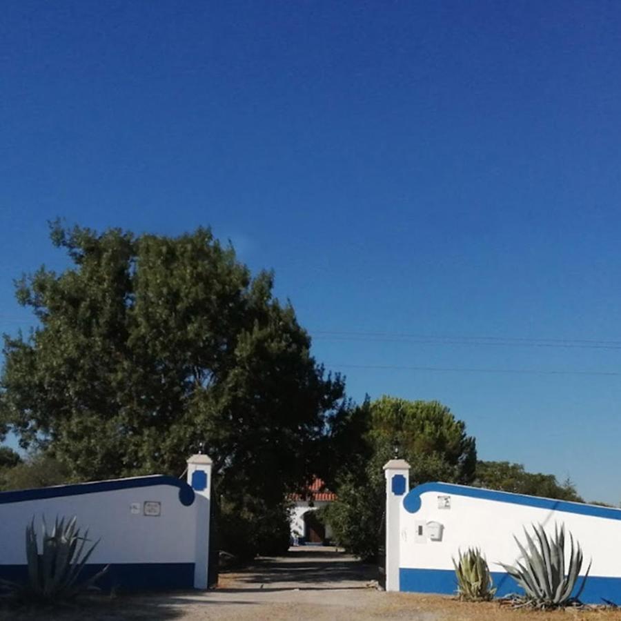 레겐고스 데 몬사라즈 Quinta Do Freixo B&B 외부 사진